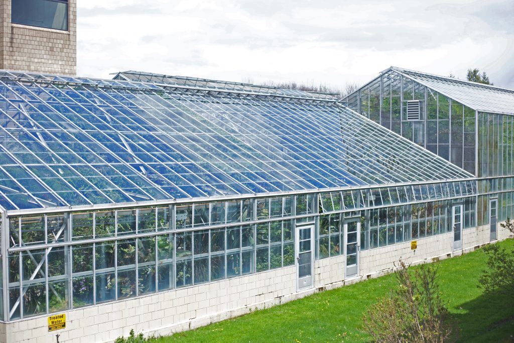 greenhouse-sid