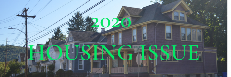 HOUSING ISSUE 2020